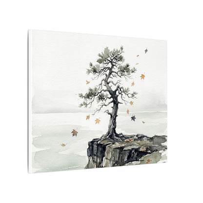 Japandi Pine Tree in Overcast | Watercolor Canvas Art