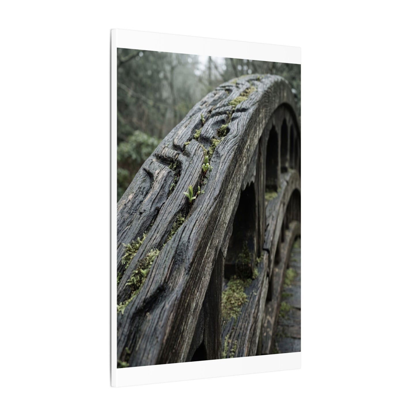 Overcast Wooden Bridge Canvas Art - Japandi Kanso
