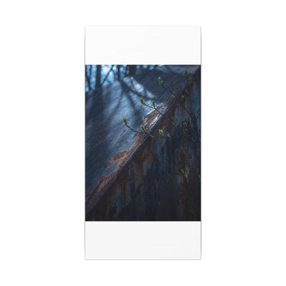 Rust Patina Canvas Art | Spring Dark Japandi Shadow Zen Art