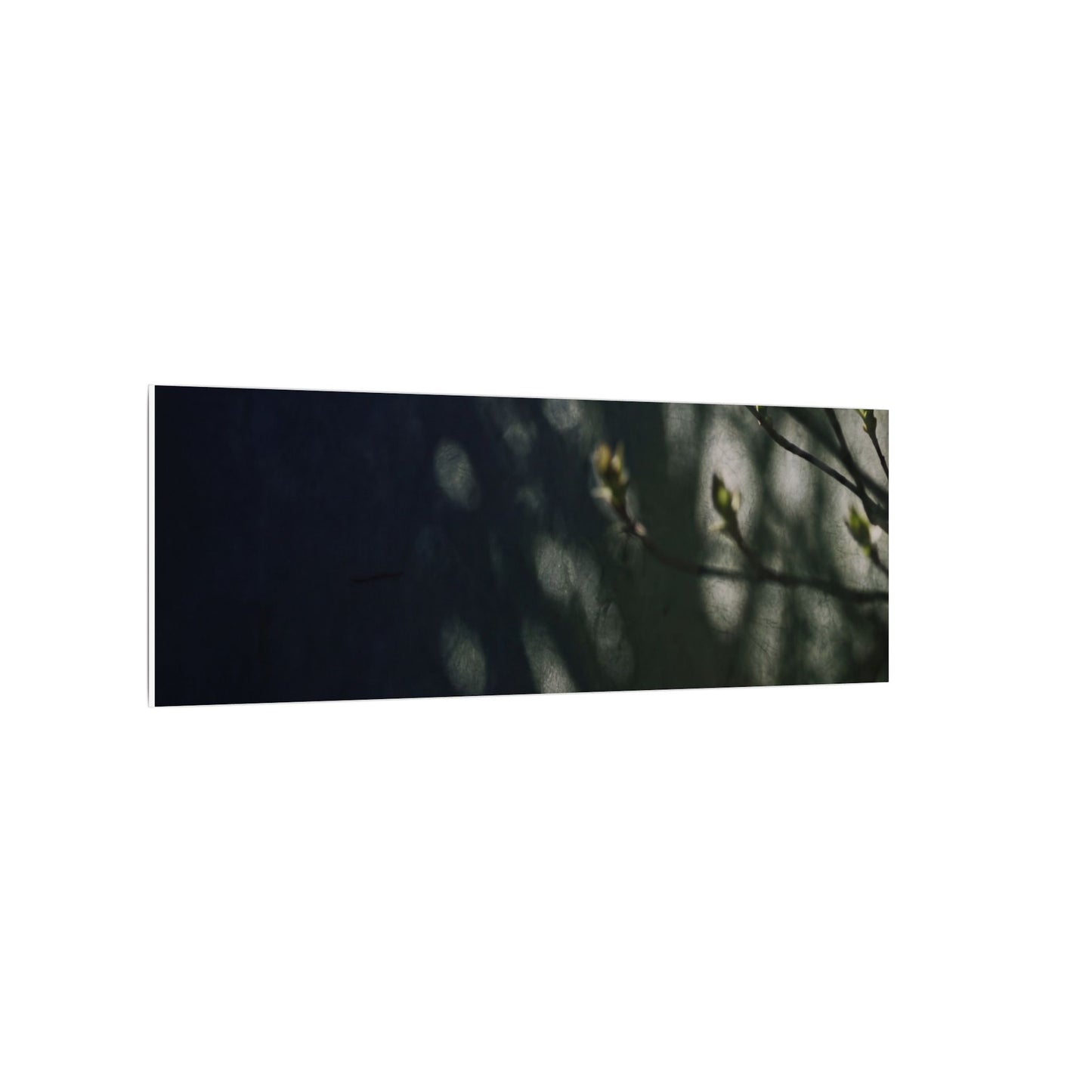 Dark Japandi Shoji Screen in Dappled | Moody Minimal Canvas Art