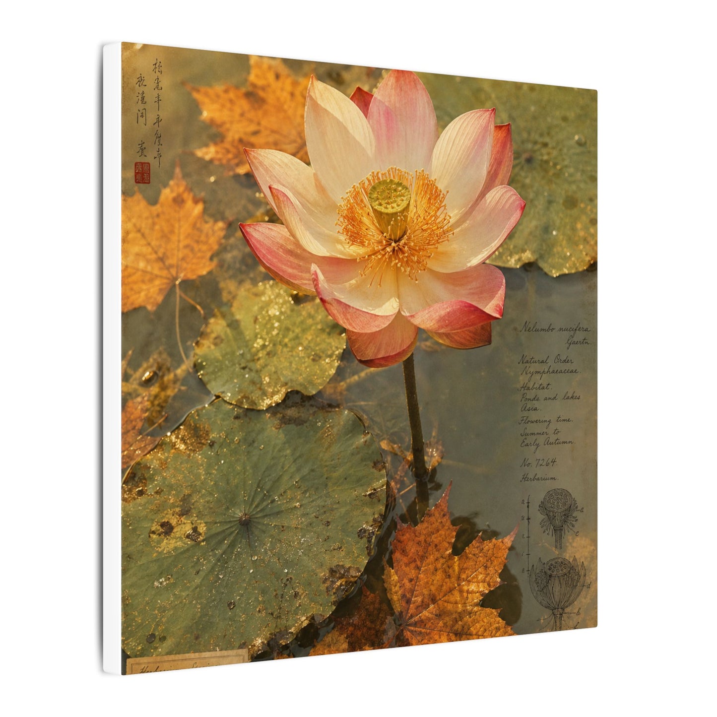 Autumn Lotus Flower Herbarium Canvas Art | Rustic Decor