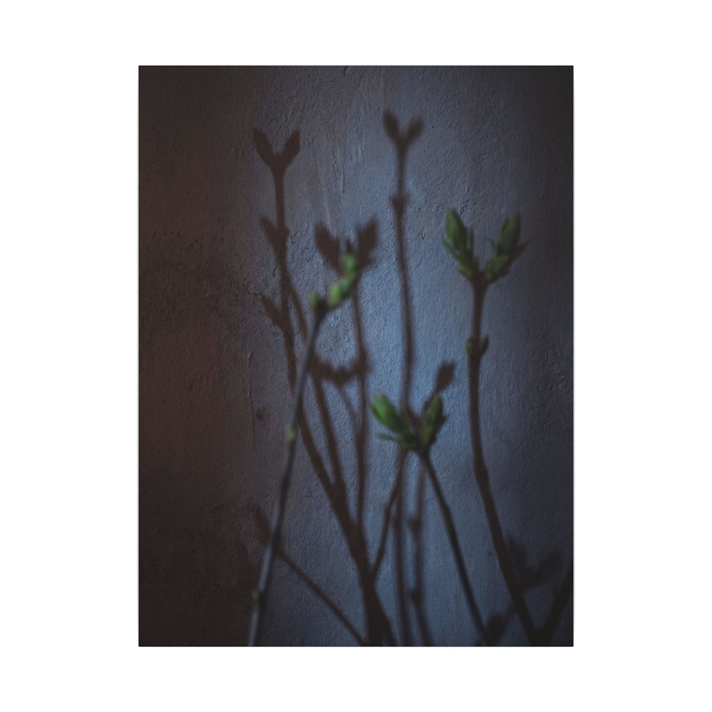 Shadow Play Spring Canvas Art | Dark Japandi Sophisticated Design