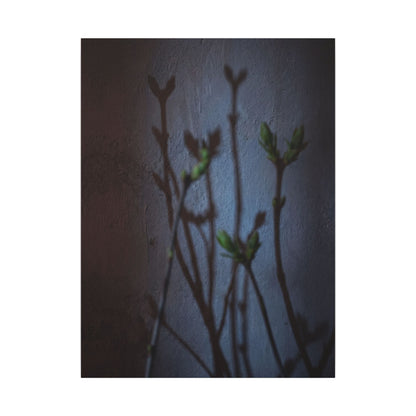 Shadow Play Spring Canvas Art | Dark Japandi Sophisticated Design
