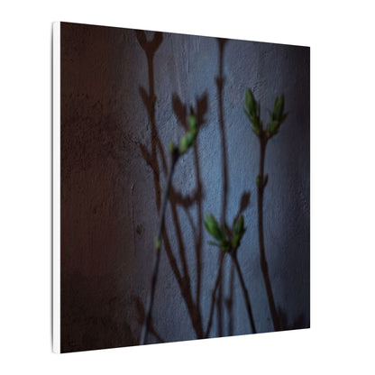 Shadow Play Spring Canvas Art | Dark Japandi Sophisticated Design