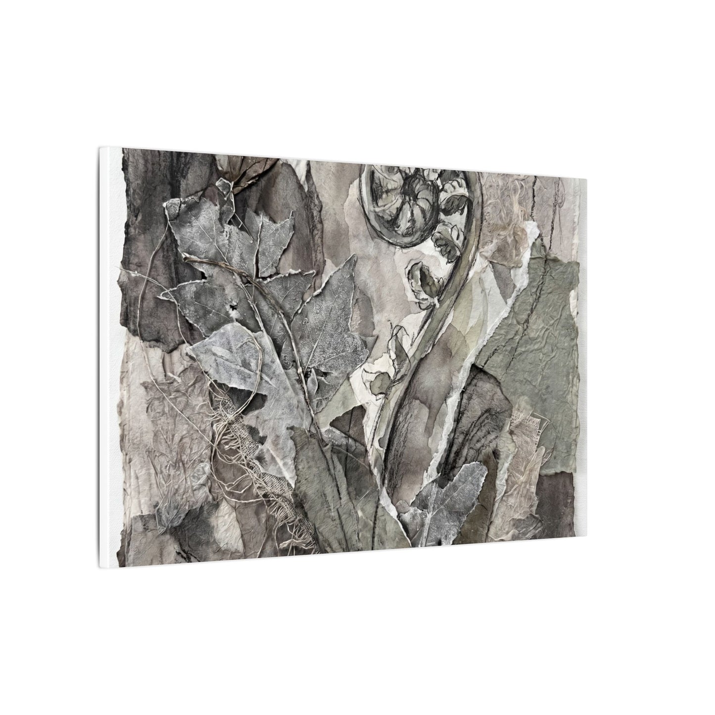 Japandi Fern Unfurling in Overcast | Texture Canvas Art