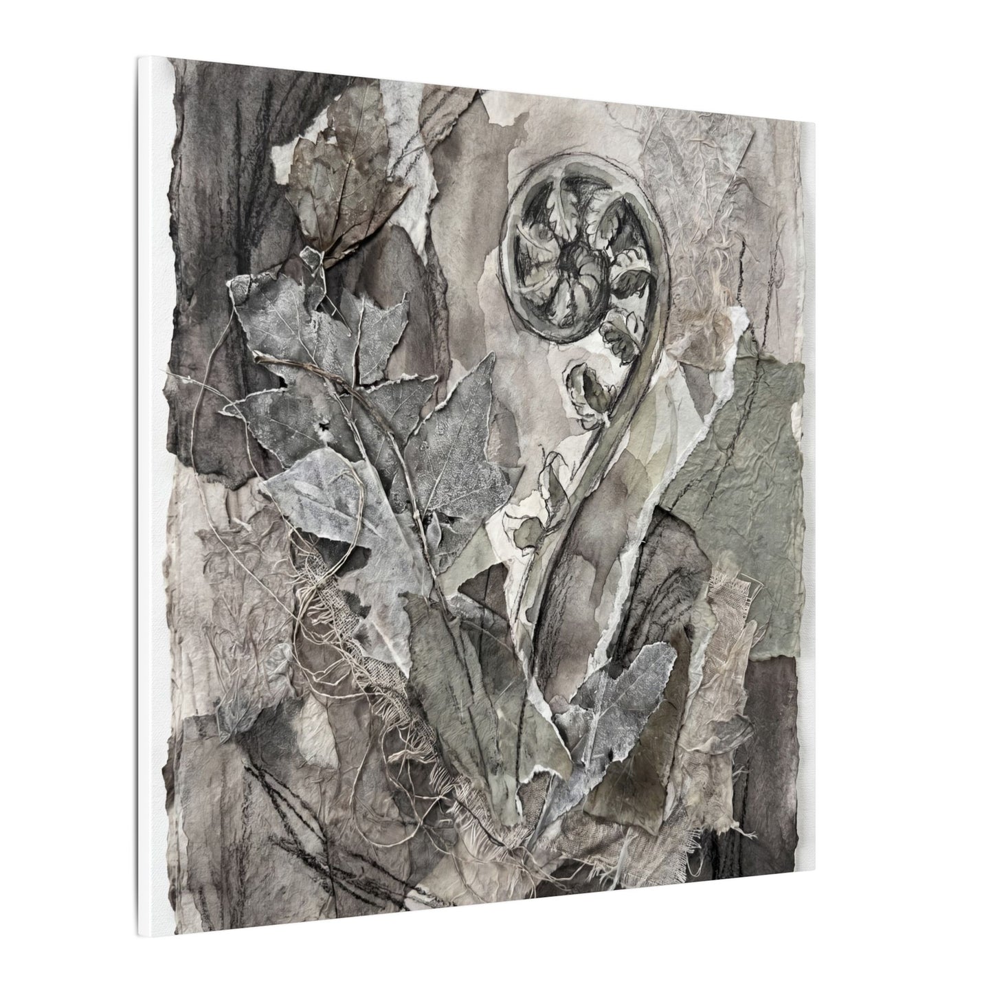 Japandi Fern Unfurling in Overcast | Texture Canvas Art