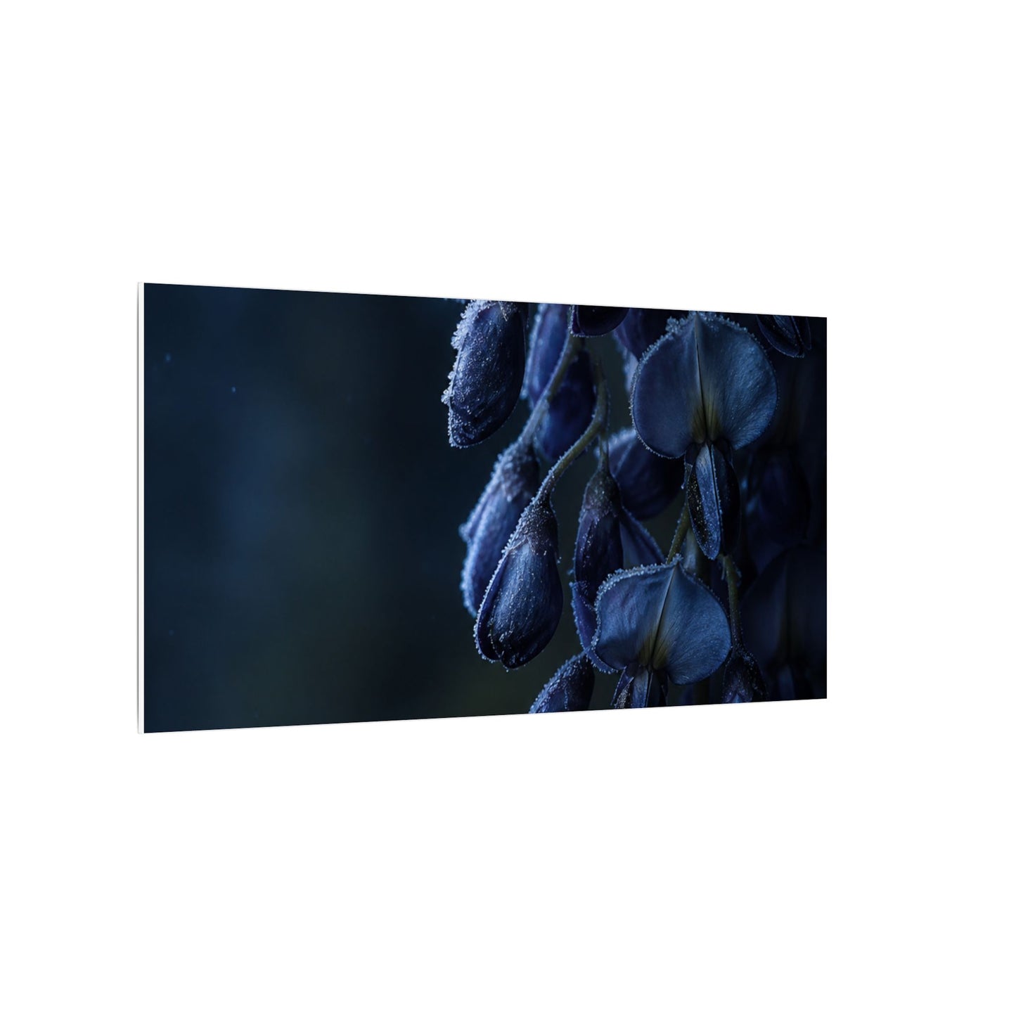 Winter Wisteria Shadow Zen Canvas Art | Atmospheric Decor