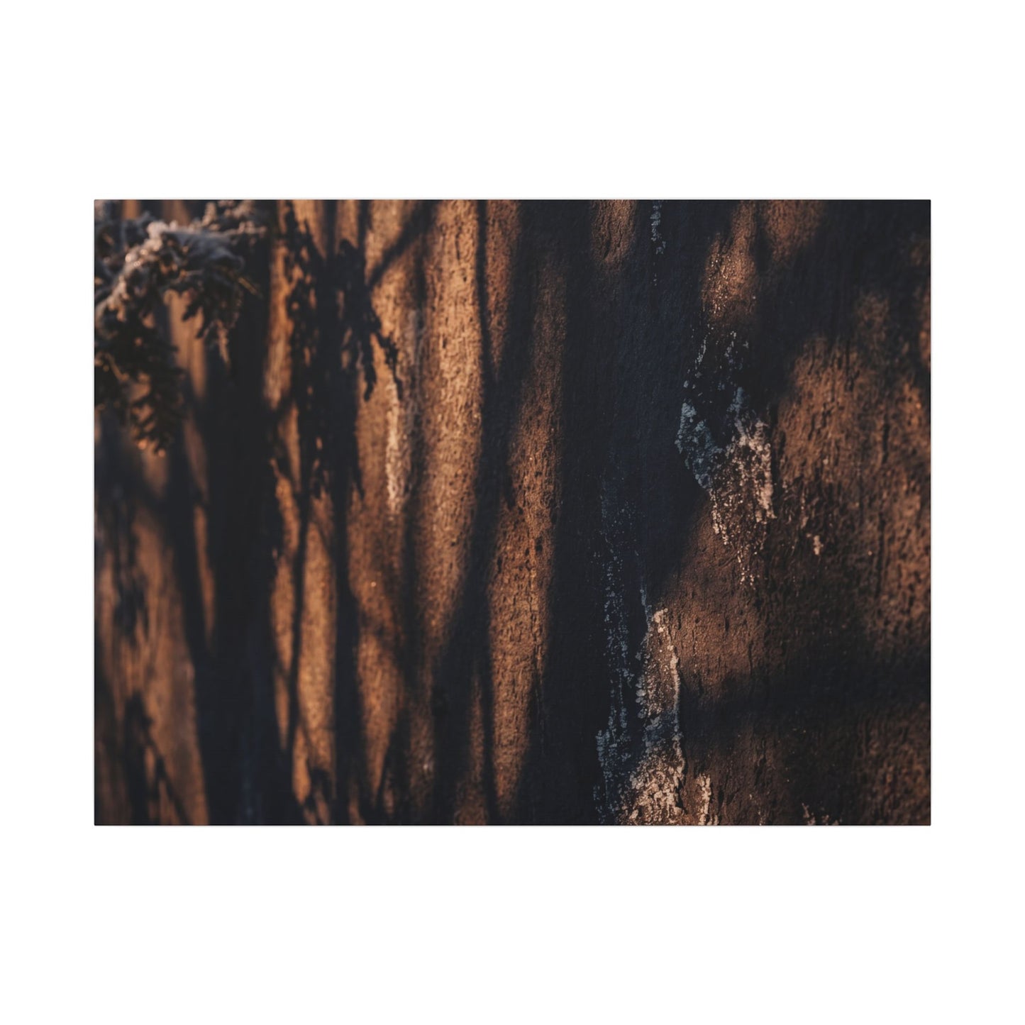 Golden Hour Shadow Play Canvas Art - Dark Japandi Fukinsei Art Print