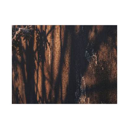 Golden Hour Shadow Play Canvas Art - Dark Japandi Fukinsei Art Print