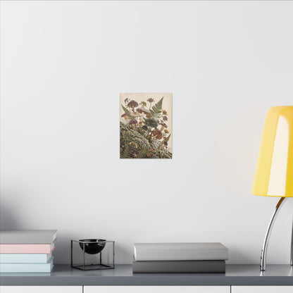 Winter Wild Mushrooms Herbarium Canvas Art | Enchanting Decor