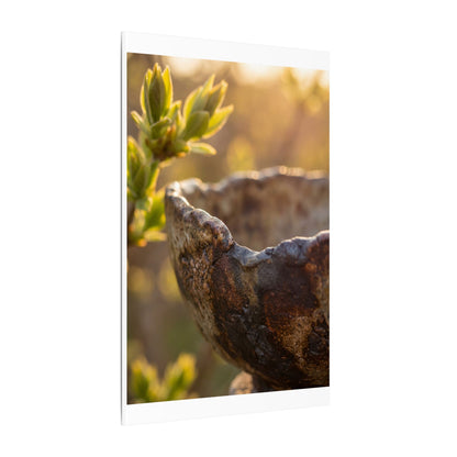 Golden Hour Ceramic Bowl Canvas Art - Dark Japandi Ma