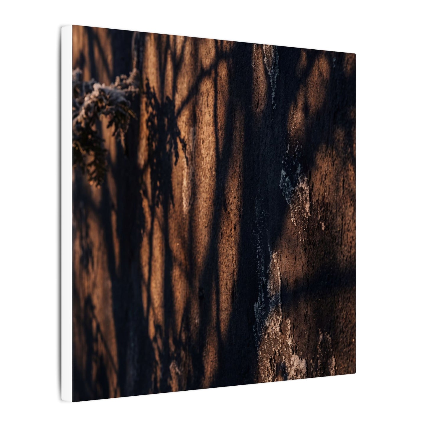 Golden Hour Shadow Play Canvas Art - Dark Japandi Fukinsei