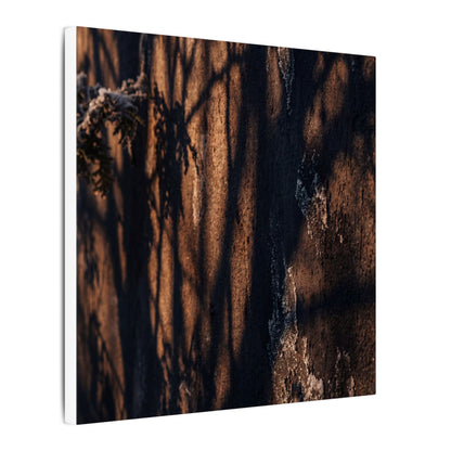 Golden Hour Shadow Play Canvas Art - Dark Japandi Fukinsei