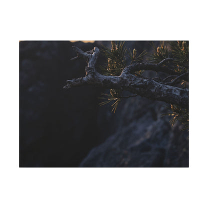 Pine Tree Moody Minimal Canvas Art | Sophisticated Dark Japandi Art Art Print
