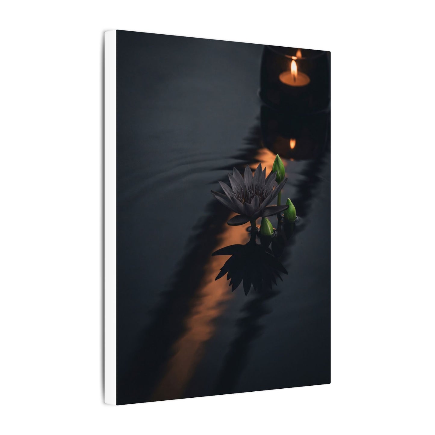 Seijaku Lotus Flower Canvas Art - Dark Japandi Shadow Zen