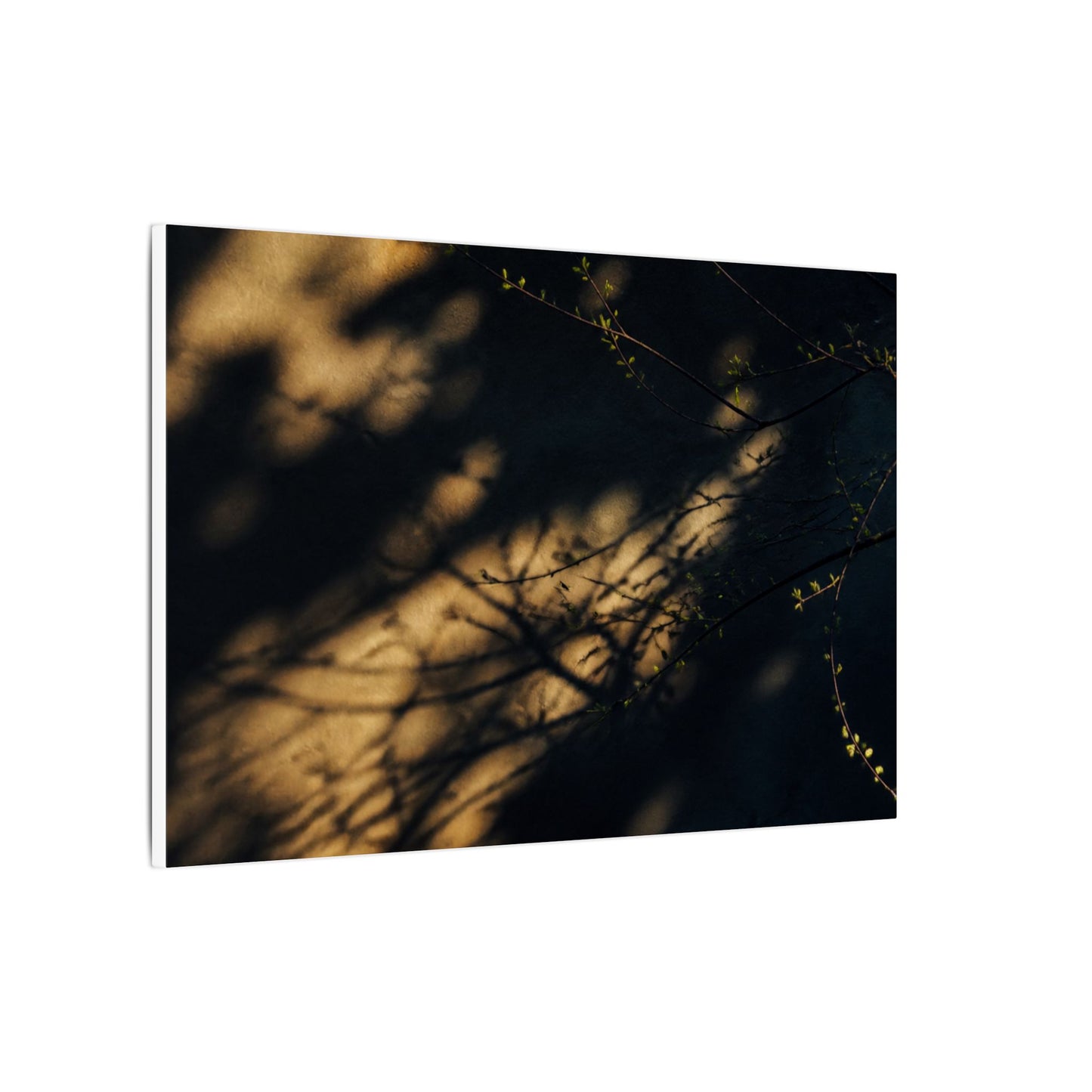 Moody Shadow Play Canvas Art - Moody Minimal Dark Japandi