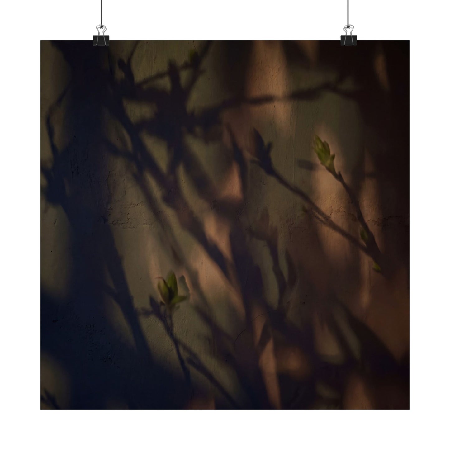 Shadow Play Spring Wall Art Print | Dark Japandi Sophisticated Design