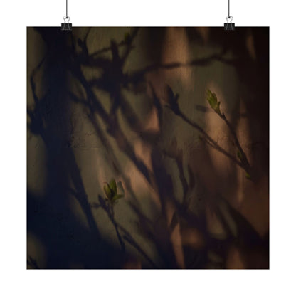 Shadow Play Spring Wall Art Print | Dark Japandi Sophisticated Design