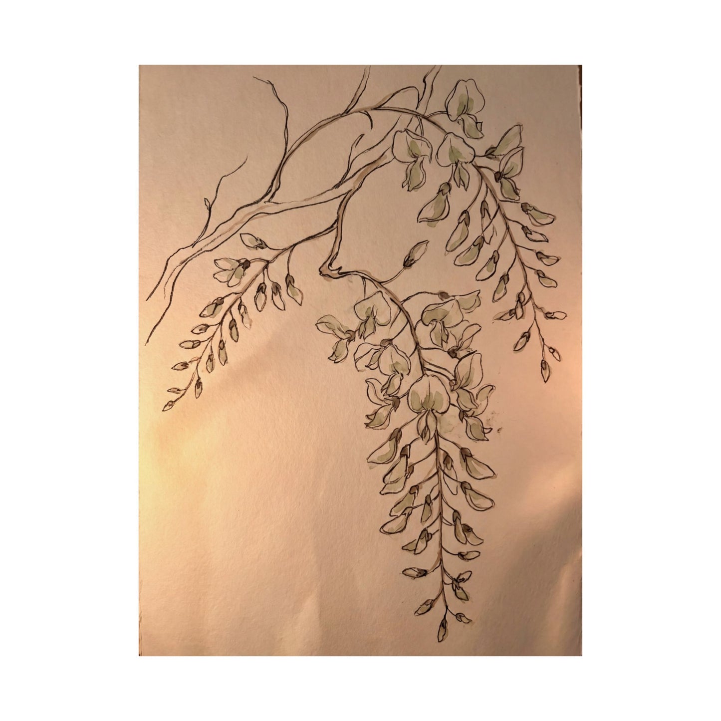Neutral Wisteria Wall Art Print - Minimal Line Japandi