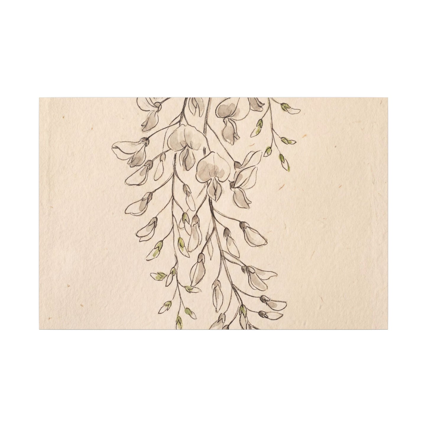 Japandi Wisteria in Golden Hour | Minimal Line Canvas Art Art Print