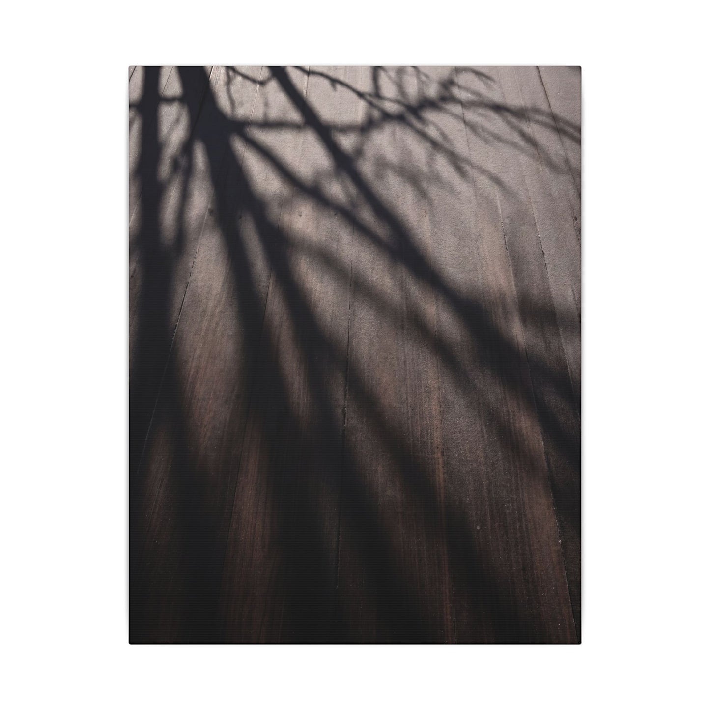 Dark Japandi Shadow Play in Dawn | Moody Minimal Canvas Art