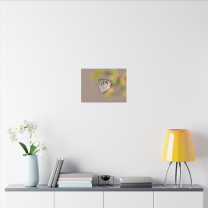 Ceramic Bowl Canvas Art | Spring Japandi Japanese Pattern Art