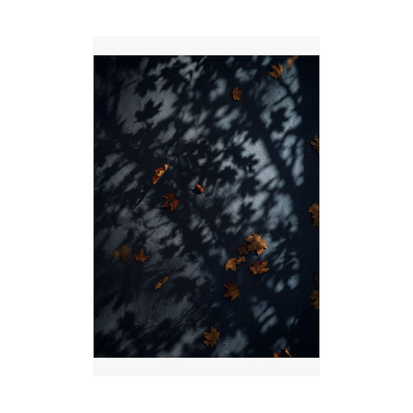 Shadow Play Shadow Zen Wall Art Print | Luxurious Dark Japandi Art