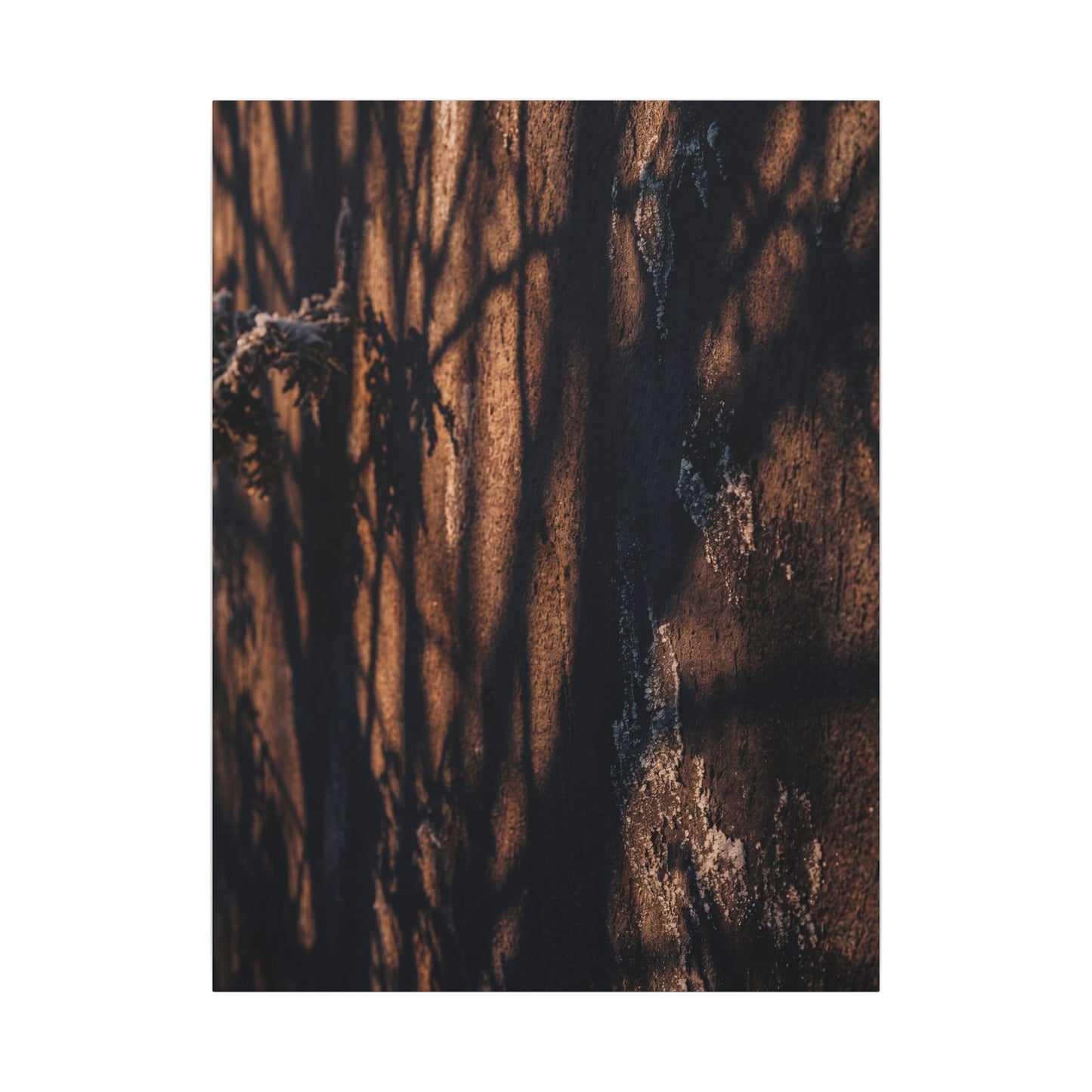 Golden Hour Shadow Play Canvas Art - Dark Japandi Fukinsei