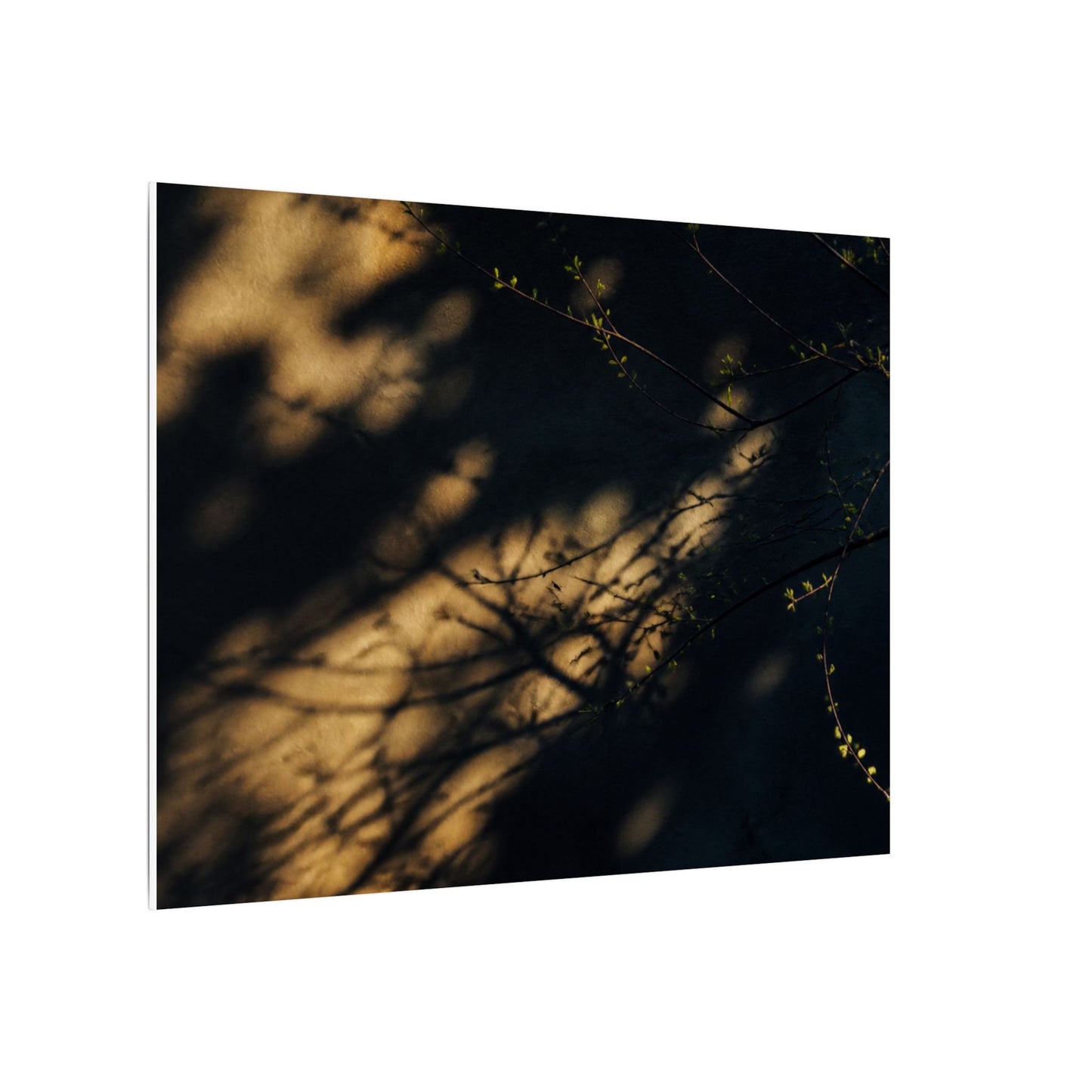 Moody Shadow Play Canvas Art - Moody Minimal Dark Japandi