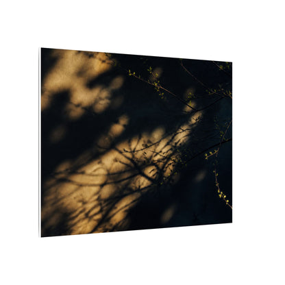 Moody Shadow Play Canvas Art - Moody Minimal Dark Japandi