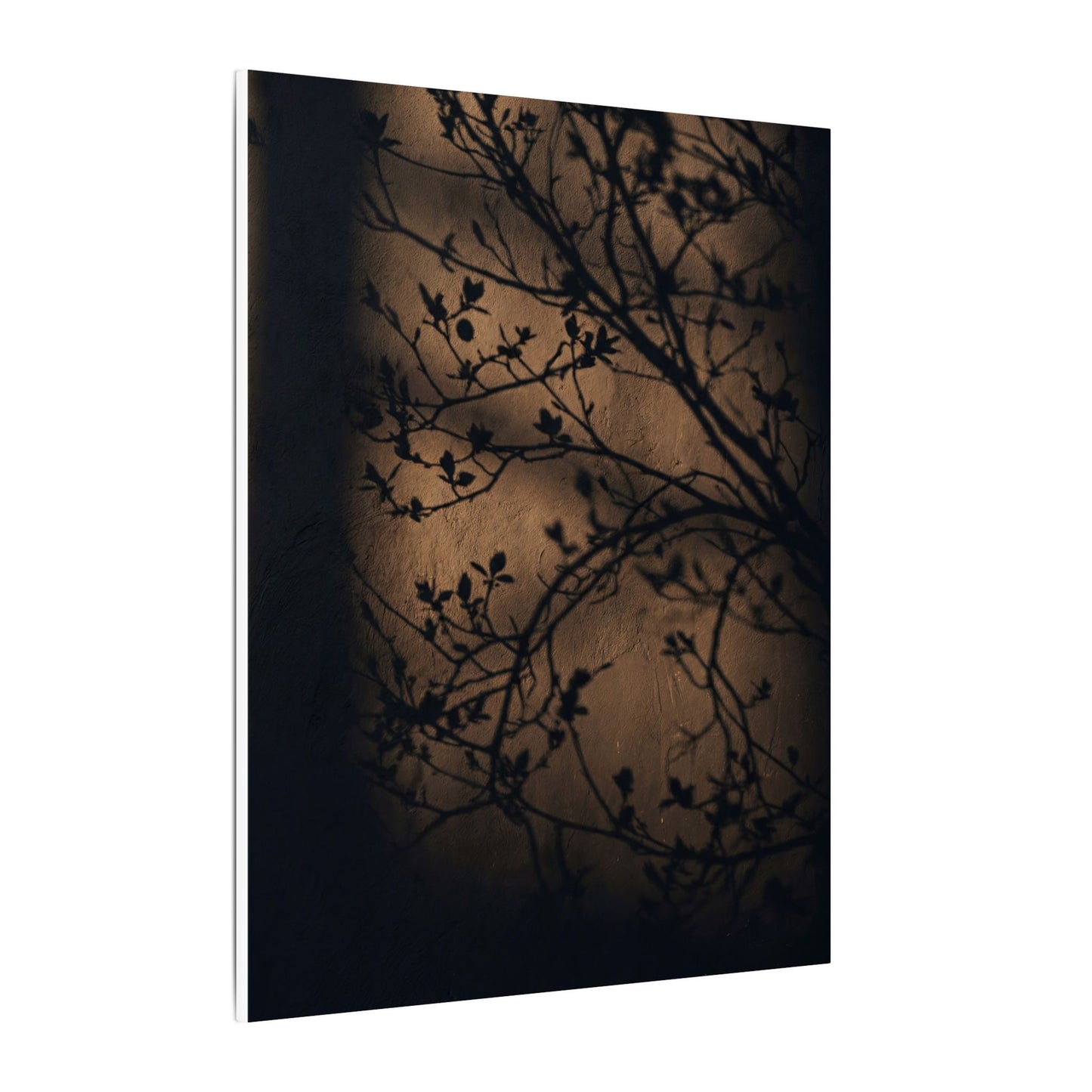 Dark Japandi Shadow Play in Golden Hour | Shadow Zen Canvas Art