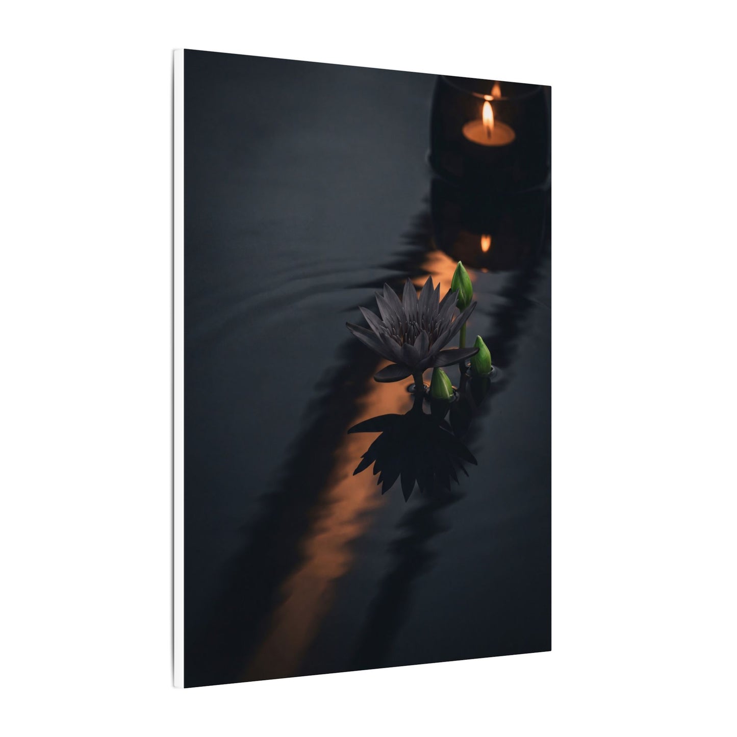 Seijaku Lotus Flower Canvas Art - Dark Japandi Shadow Zen