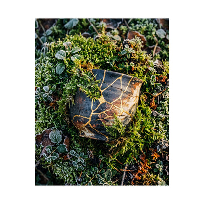 Winter Moss Close Up Gold Repair Wall Art Print | Beautiful Decor