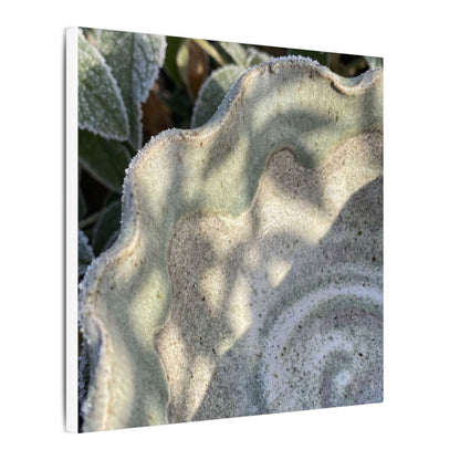 Dappled Ceramic Bowl Canvas Art - Japandi Seijaku