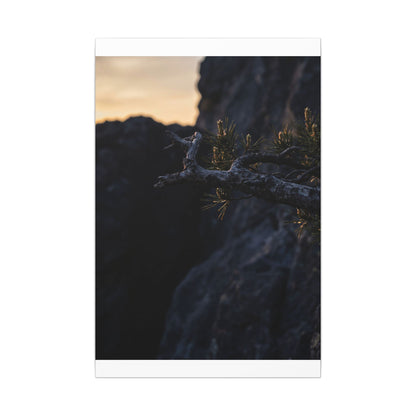 Pine Tree Moody Minimal Canvas Art | Sophisticated Dark Japandi Art