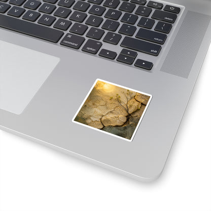 Cracked Earth Sticker | Spring Japandi Texture Art