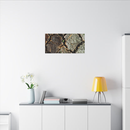 Earthy Cracked Earth Canvas Art - Japanese Pattern Japandi