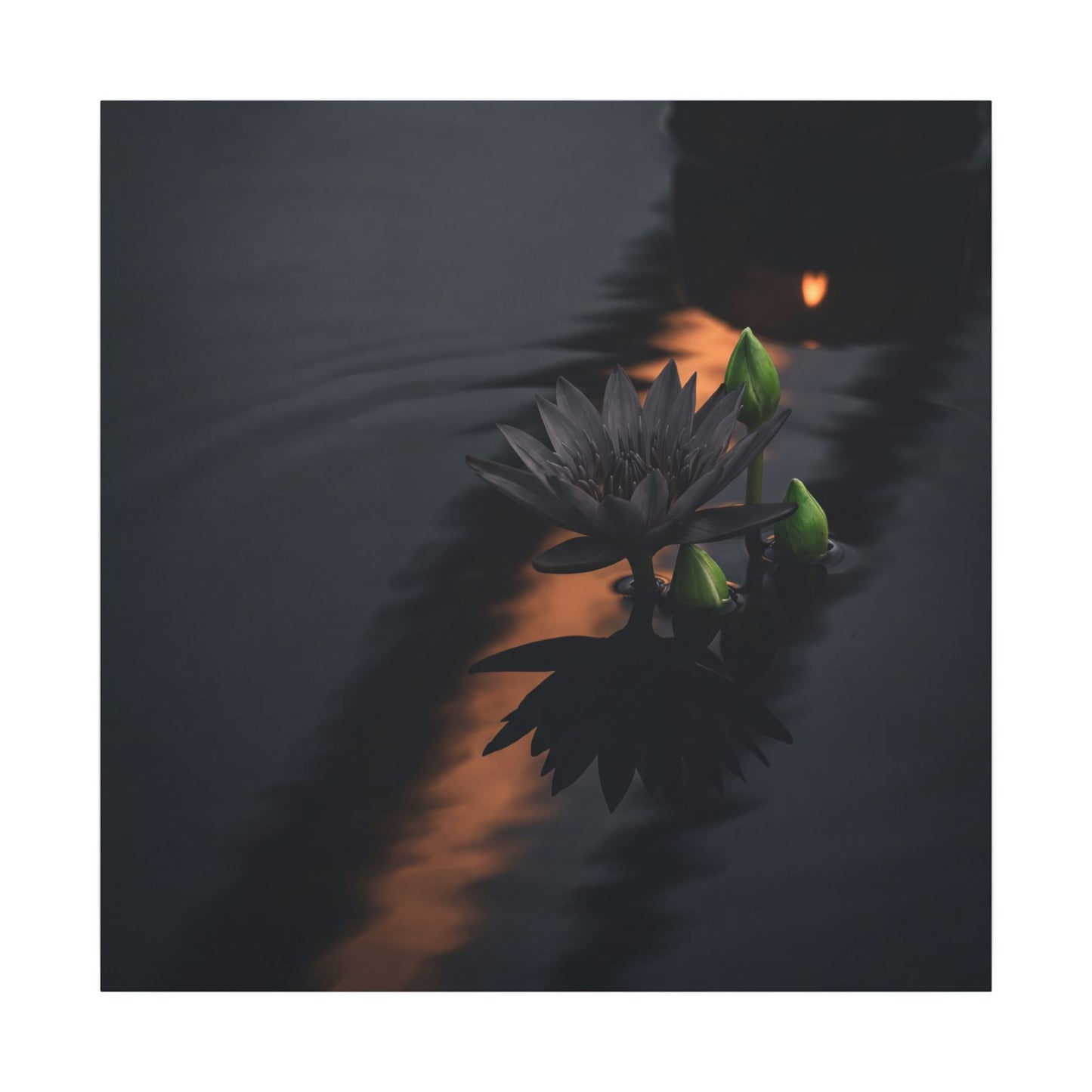 Seijaku Lotus Flower Canvas Art - Dark Japandi Shadow Zen