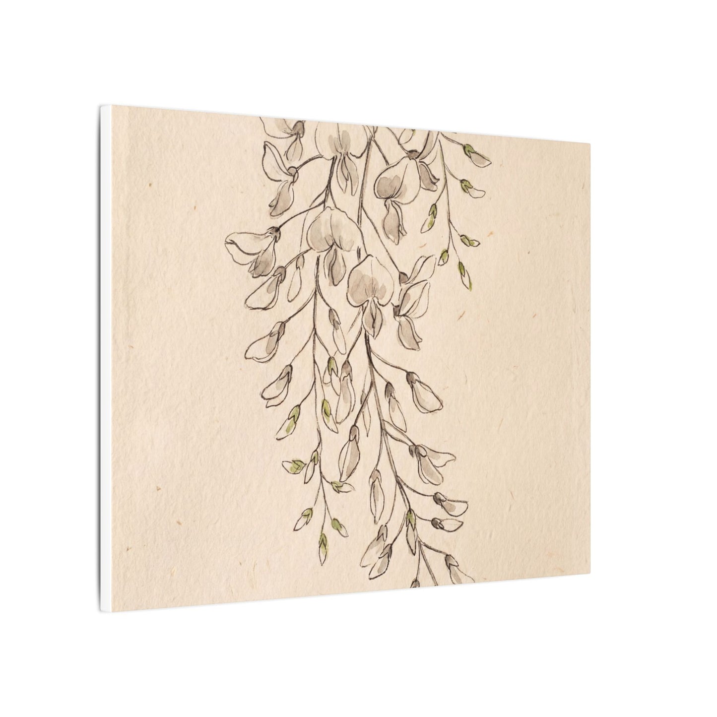 Japandi Wisteria in Golden Hour | Minimal Line Canvas Art