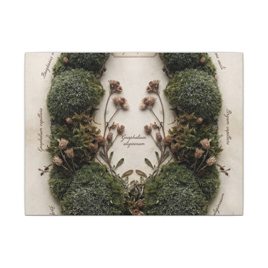 Moss Close Up Herbarium Canvas Art | Nostalgic Cottagecore Art Art Print