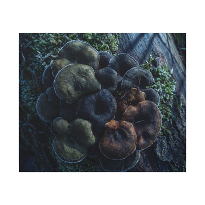 Wild Mushrooms Moody Minimal Canvas Art | Moody Dark Japandi Art