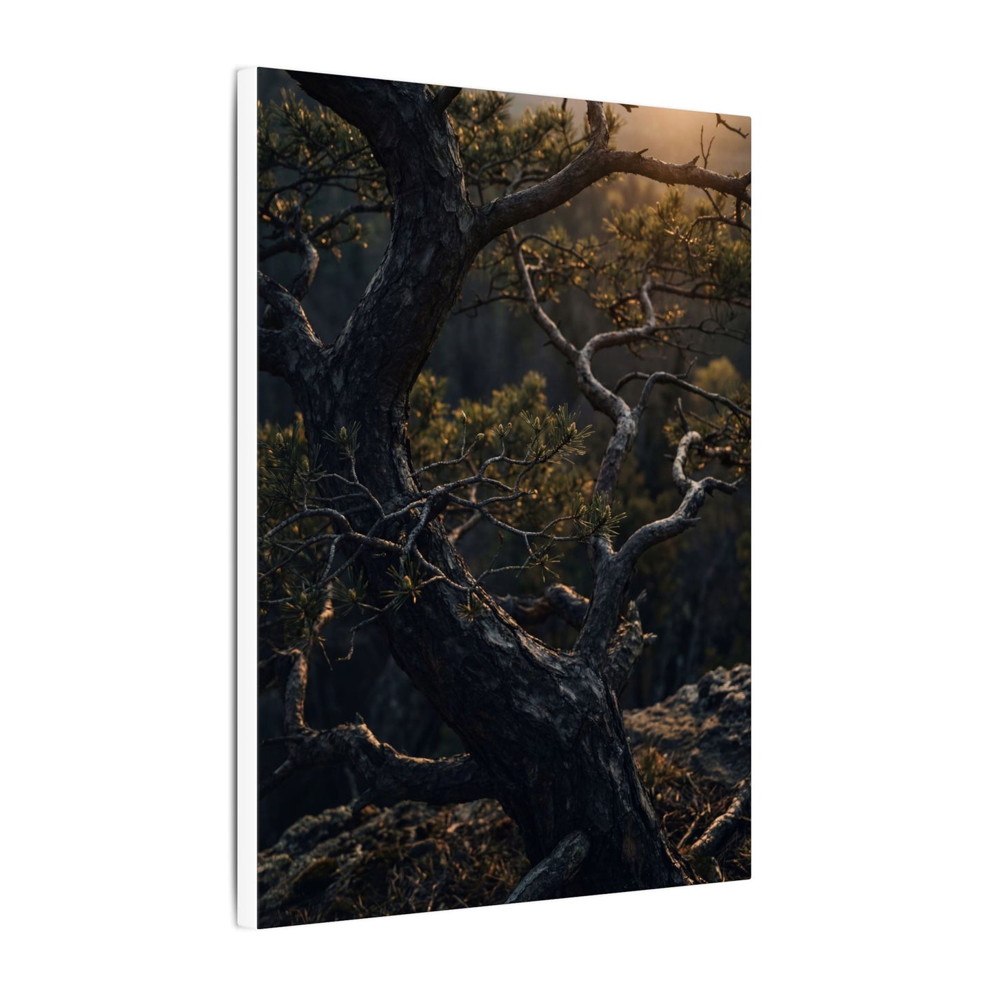 Moody Pine Tree Canvas Art - Moody Minimal Dark Japandi