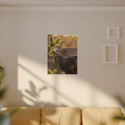 Golden Hour Ceramic Bowl Canvas Art - Dark Japandi Ma