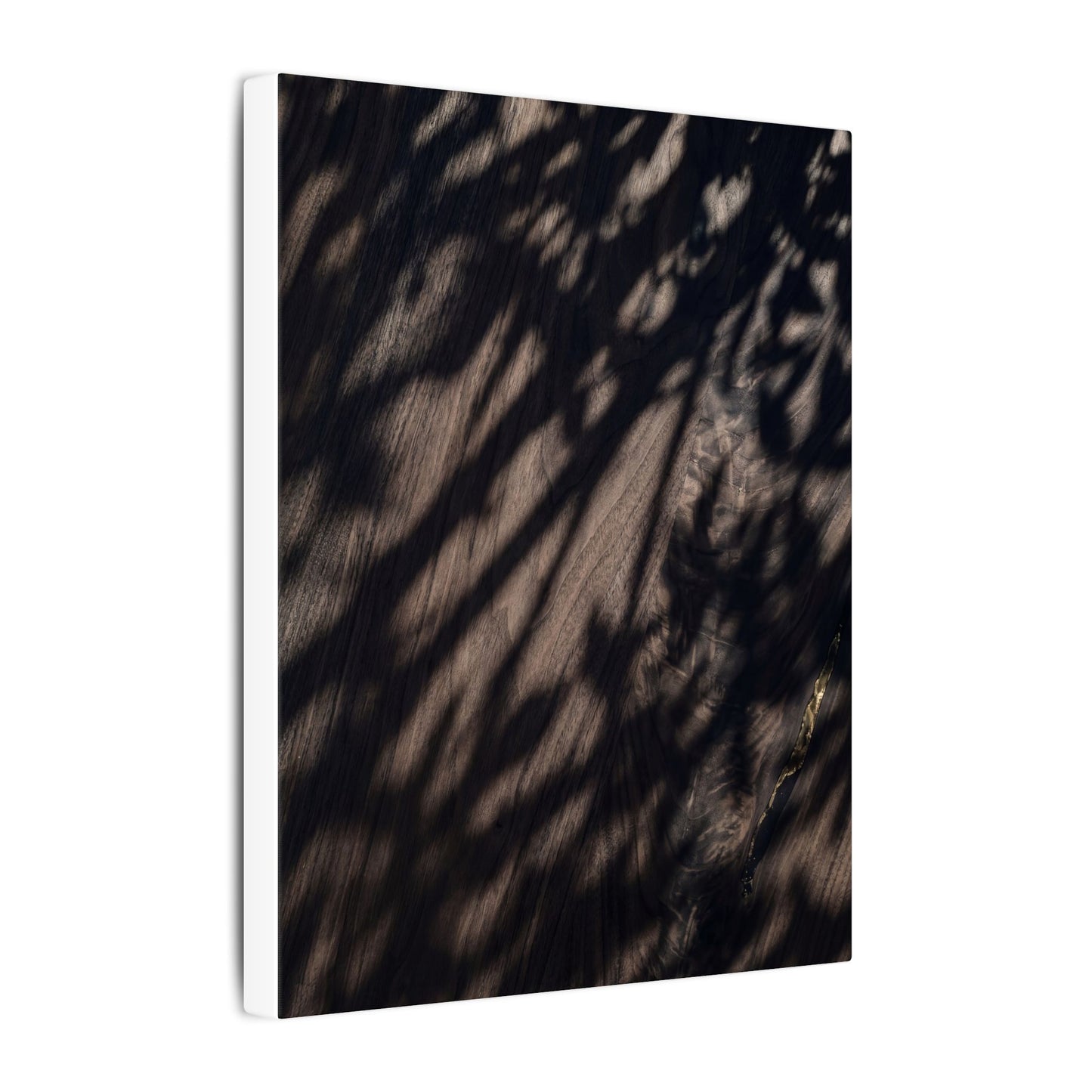 Shadow Play Summer Canvas Art | Dark Japandi Moody Design