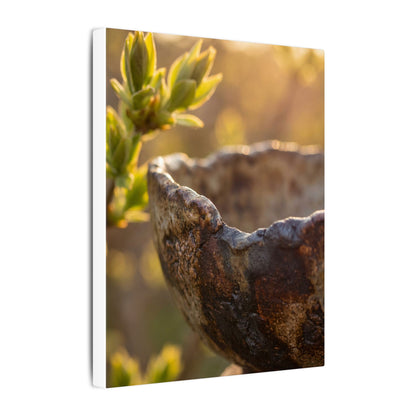 Golden Hour Ceramic Bowl Canvas Art - Dark Japandi Ma