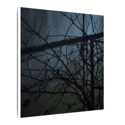 Moonlight Shadow Play Canvas Art - Dark Japandi Shibui