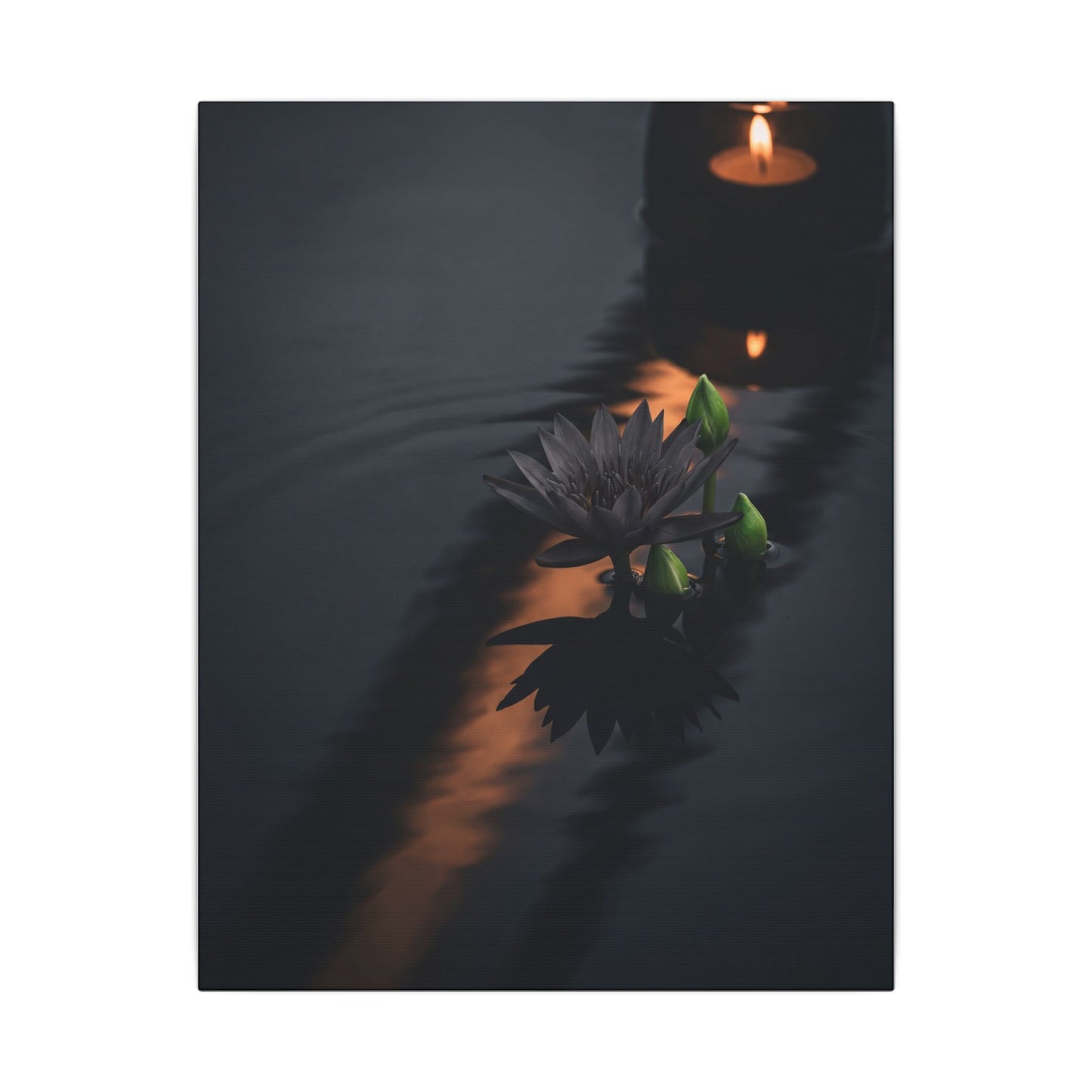 Seijaku Lotus Flower Canvas Art - Dark Japandi Shadow Zen