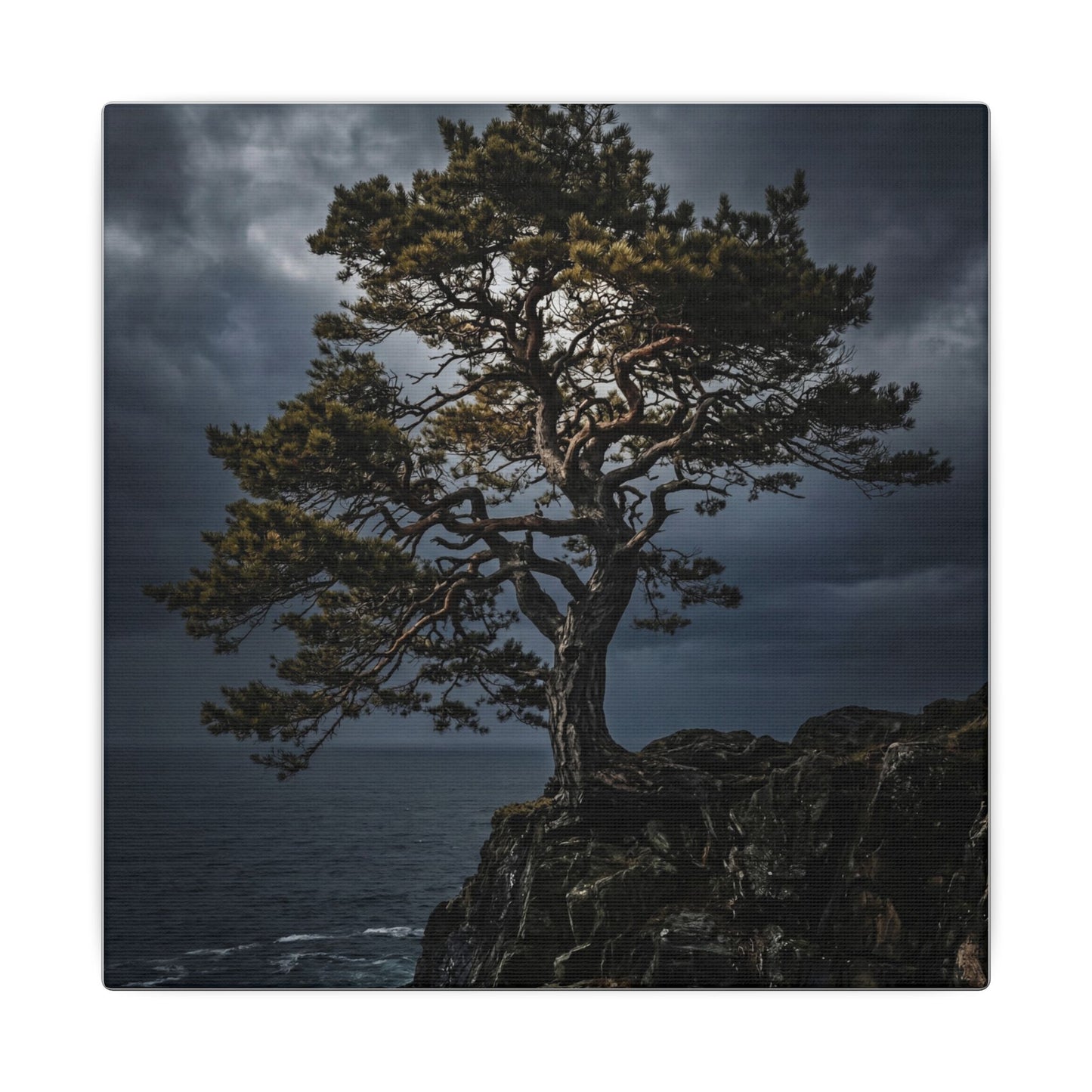 Dappled Pine Tree Canvas Art - Dark Japandi Fukinsei