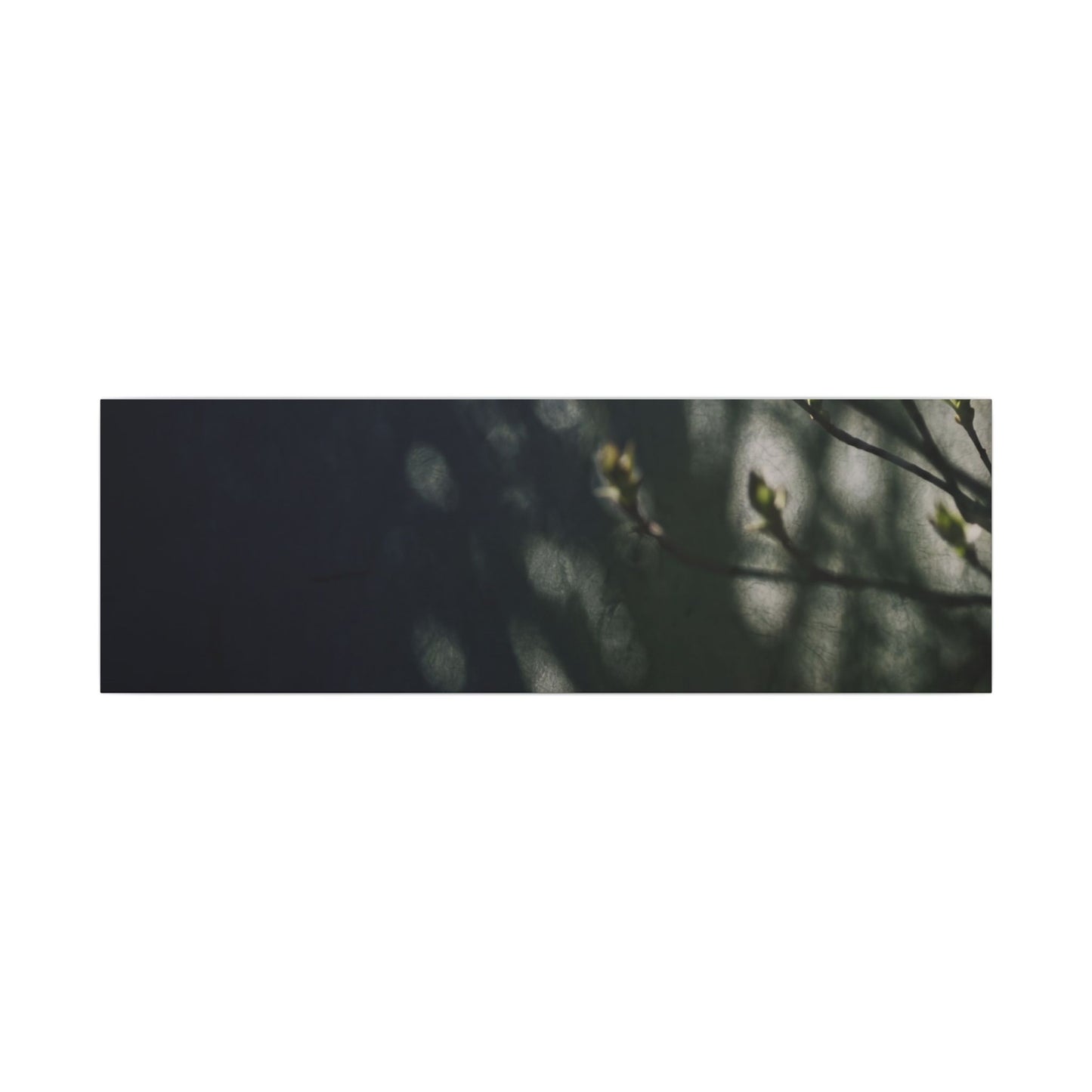 Dark Japandi Shoji Screen in Dappled | Moody Minimal Canvas Art