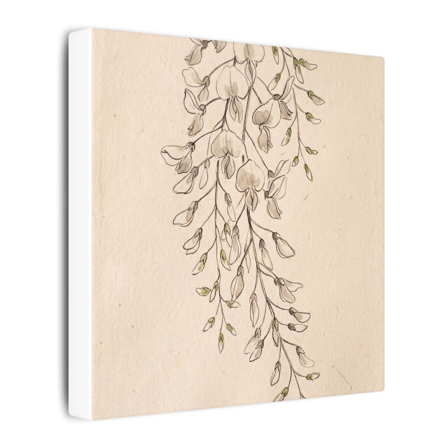 Japandi Wisteria in Golden Hour | Minimal Line Canvas Art